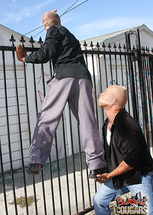 cougar, blacks on cougars