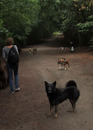 beautiful, public disgrace